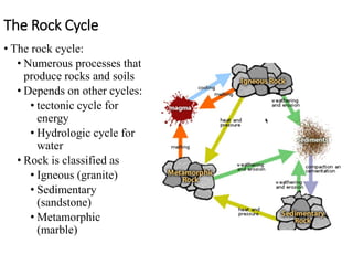 The Rock Cycle
• The rock cycle:
• Numerous processes that
produce rocks and soils
• Depends on other cycles:
• tectonic cycle for
energy
• Hydrologic cycle for
water
• Rock is classified as
• Igneous (granite)
• Sedimentary
(sandstone)
• Metamorphic
(marble)
 