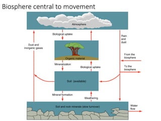 Biosphere central to movement
 