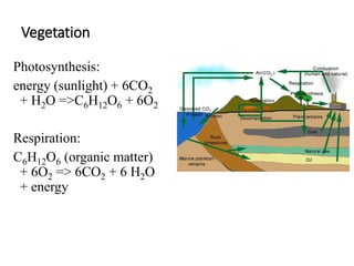 Vegetation
Photosynthesis:
energy (sunlight) + 6CO2
+ H2O =>C6H12O6 + 6O2
Respiration:
C6H12O6 (organic matter)
+ 6O2 => 6CO2 + 6 H2O
+ energy
 