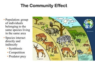 The Community Effect
• Population: group
of individuals
belonging to the
same species living
in the same area
• Species interact
directly and
indirectly
• Symbiosis
• Competition
• Predator prey
 