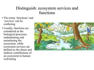 Distinguish: ecosystem services and
functions
• The terms ‘functions’ and
‘services’ can be
confusing.
• Usually, functions are
considered as the
biological processes
underpinning and
maintaining the
ecosystem, while
ecosystem services are
defined as the direct and
indirect contributions of
an ecosystem to human
well-being
 
