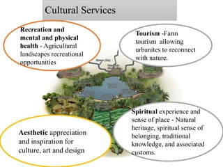 Cultural Services
Recreation and
mental and physical
health - Agricultural
landscapes recreational
opportunities
Aesthetic appreciation
and inspiration for
culture, art and design
Spiritual experience and
sense of place - Natural
heritage, spiritual sense of
belonging, traditional
knowledge, and associated
customs.
Tourism -Farm
tourism allowing
urbanites to reconnect
with nature.
 