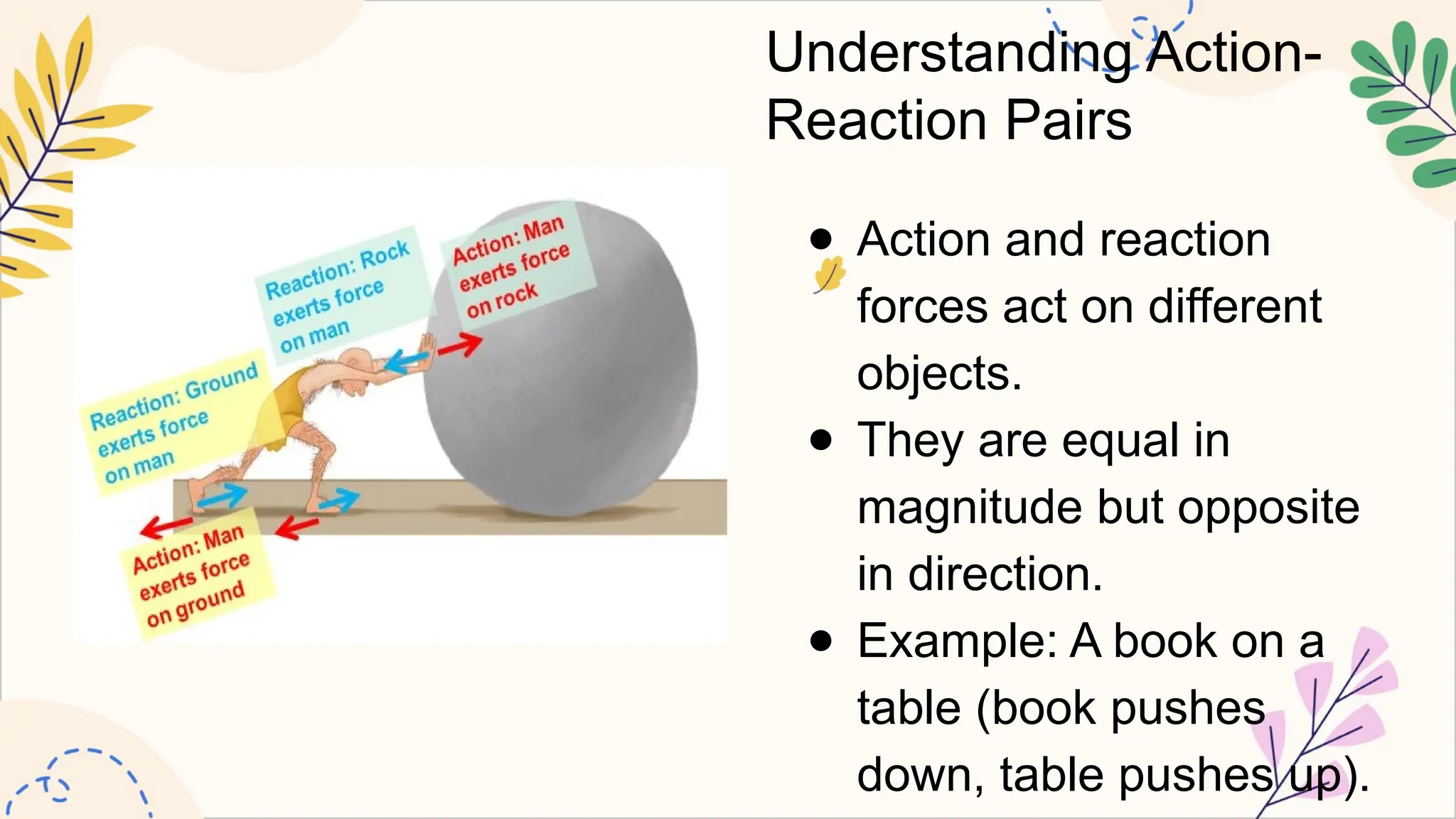 Example Of Action And Reaction