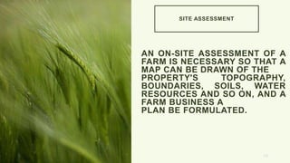 SITE ASSESSMENT
AN ON-SITE ASSESSMENT OF A
FARM IS NECESSARY SO THAT A
MAP CAN BE DRAWN OF THE
PROPERTY'S TOPOGRAPHY,
BOUNDARIES, SOILS, WATER
RESOURCES AND SO ON, AND A
FARM BUSINESS A
PLAN BE FORMULATED.
10
 