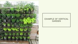 EXAMPLE OF VERTICAL
GARDEN
13
 