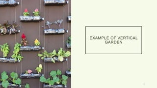 EXAMPLE OF VERTICAL
GARDEN
14
 