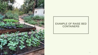 EXAMPLE OF RAISE BED
CONTAINERS
20
 