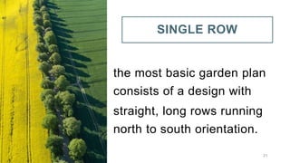 SINGLE ROW
the most basic garden plan
consists of a design with
straight, long rows running
north to south orientation.
21
 