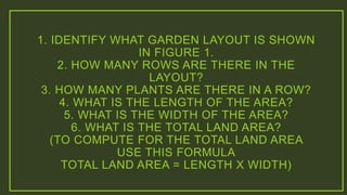 1. IDENTIFY WHAT GARDEN LAYOUT IS SHOWN
IN FIGURE 1.
2. HOW MANY ROWS ARE THERE IN THE
LAYOUT?
3. HOW MANY PLANTS ARE THERE IN A ROW?
4. WHAT IS THE LENGTH OF THE AREA?
5. WHAT IS THE WIDTH OF THE AREA?
6. WHAT IS THE TOTAL LAND AREA?
(TO COMPUTE FOR THE TOTAL LAND AREA
USE THIS FORMULA
TOTAL LAND AREA = LENGTH X WIDTH)
 