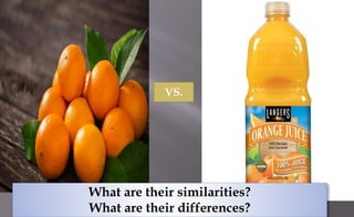 VS.
What are their similarities?
What are their differences?
 