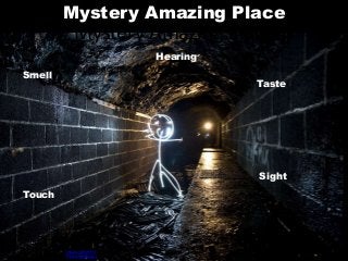 Mystery Amazing Place
Hearing
Sight
Touch
Smell
Taste
Image copyright of
Pshychogeographer
Mystery Amazing Place
Write a detailed description of what you’d expect to see in this place.
 