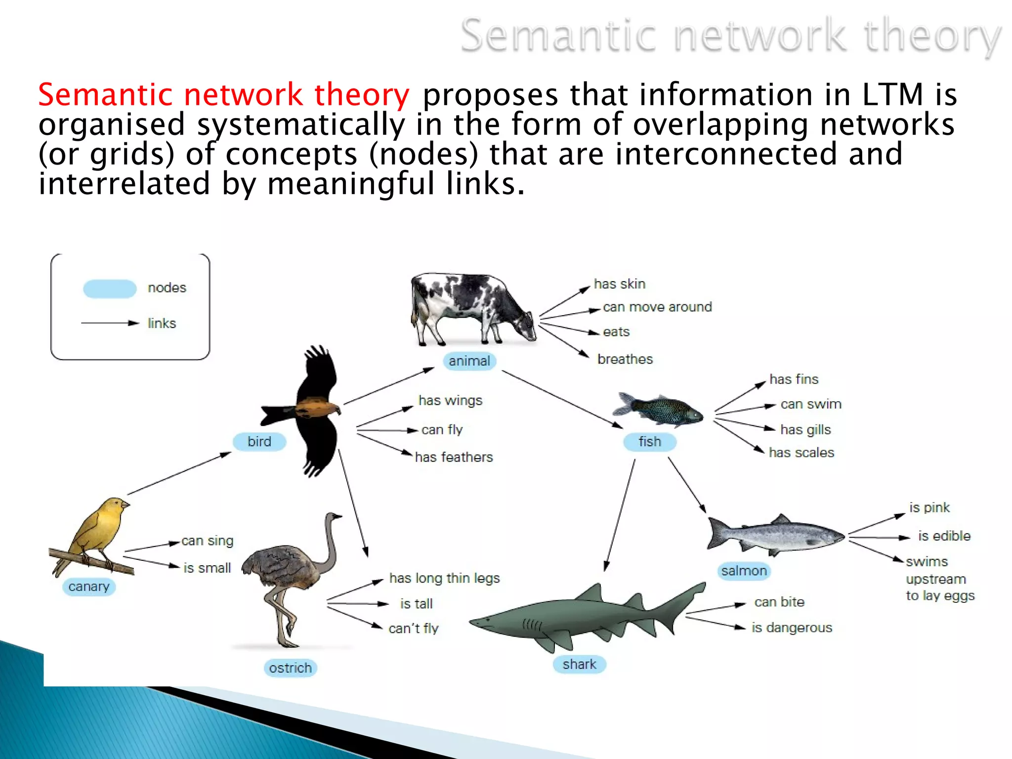 Semantic network theory proposes that information in LTM is
organised systematically in the form of overlapping networks
(or grids) of concepts (nodes) that are interconnected and
interrelated by meaningful links.
 