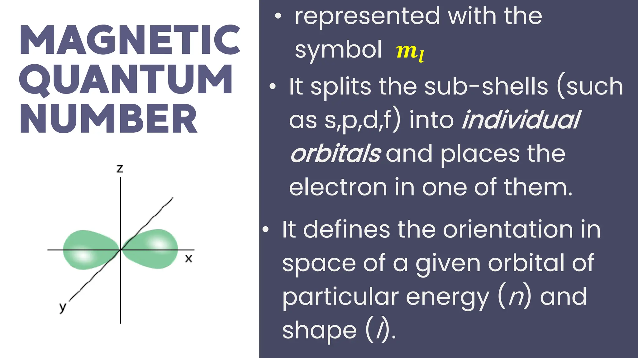 • It splits the sub-shells (such
as s,p,d,f) into individual
orbitals and places the
electron in one of them.
• represented with the
symbol 𝒎𝒍
• It defines the orientation in
space of a given orbital of
particular energy (n) and
shape (I).
 