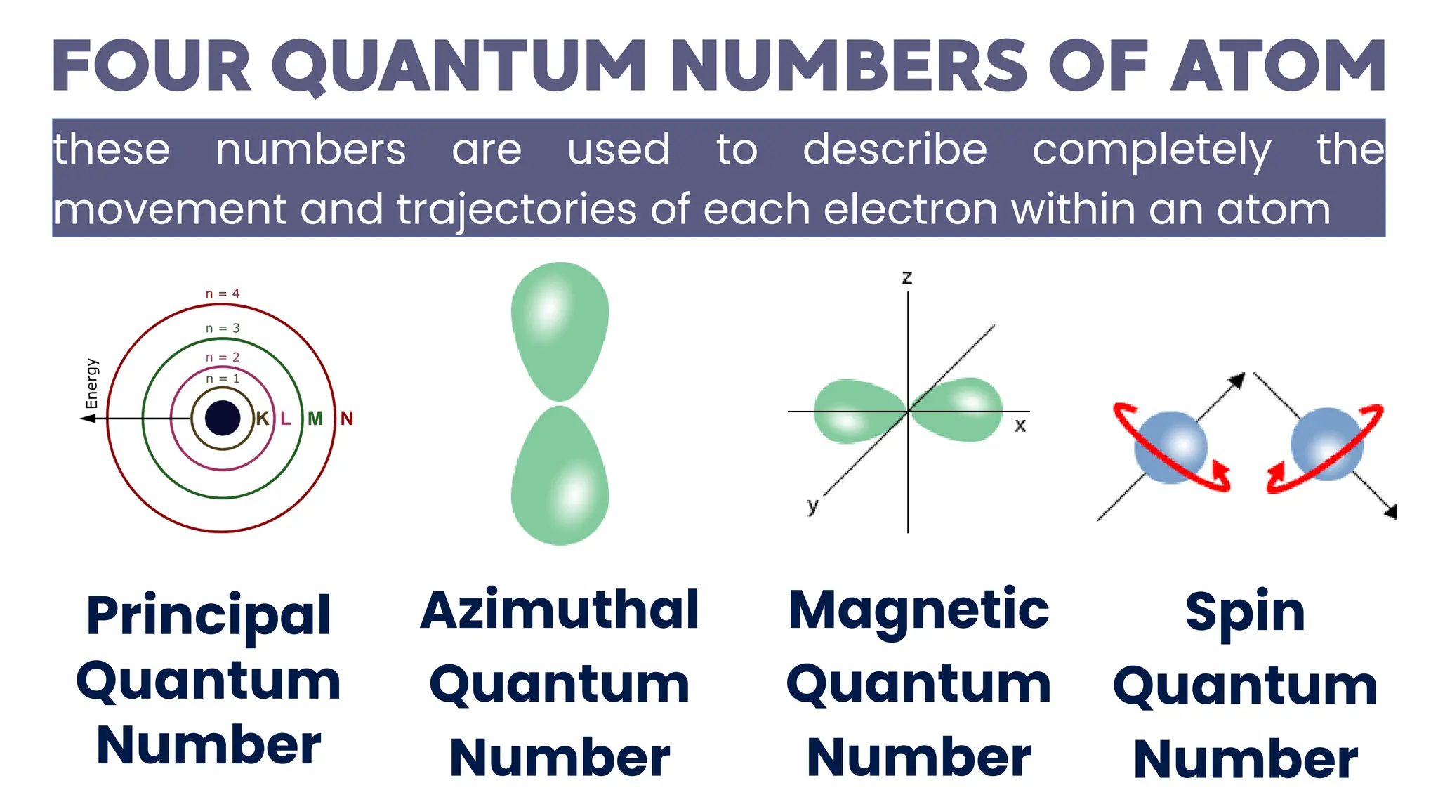these numbers are used to describe completely the
movement and trajectories of each electron within an atom
Principal
Quantum
Number
Azimuthal
Quantum
Number
Magnetic
Quantum
Number
Spin
Quantum
Number
 