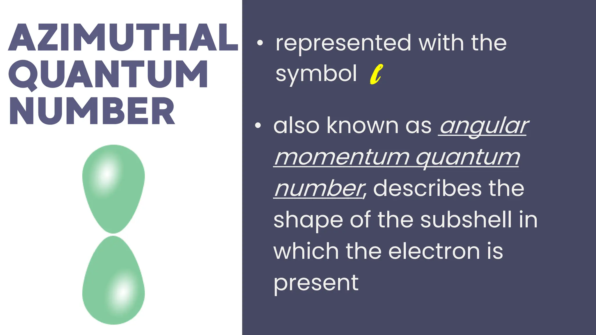 • also known as angular
momentum quantum
number, describes the
shape of the subshell in
which the electron is
present
• represented with the
symbol l
 