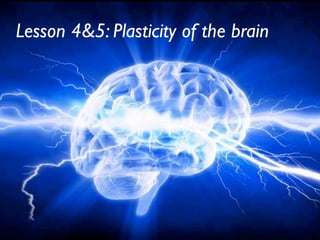 Lesson 4&5: Plasticity of the brain
 