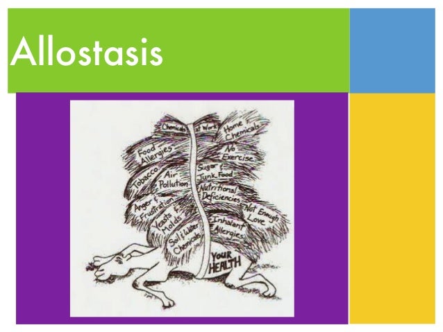 allostasis