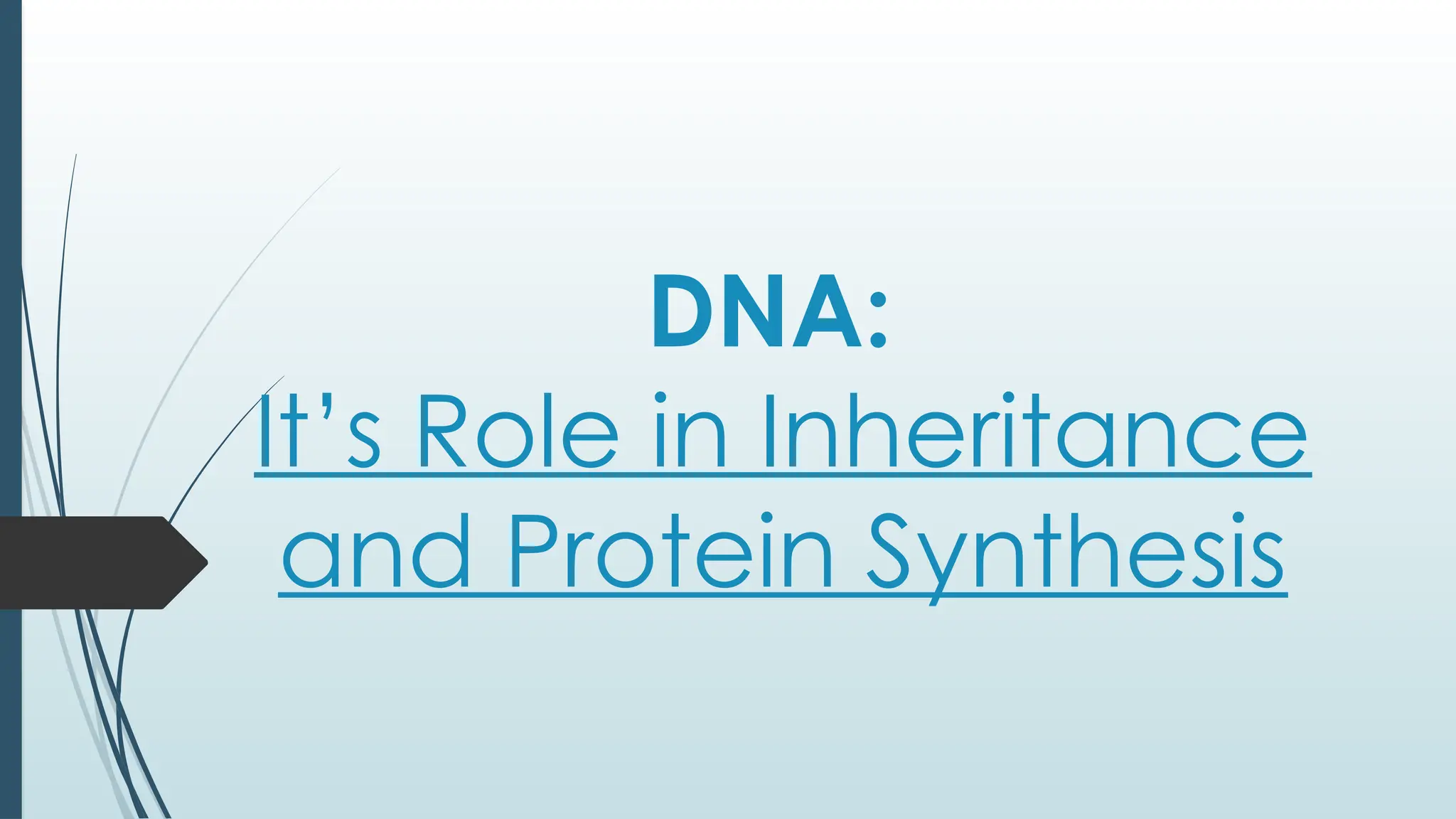 Biology 2: The Lesson 4 and the DNA.pptx