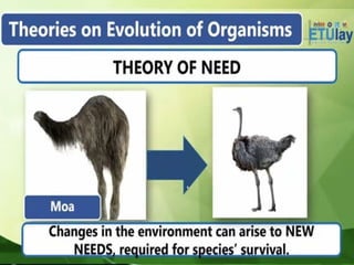 Earth and Life Science Grade 11 Lesson 4 Basic Mechanisms of Evolution.ppt
