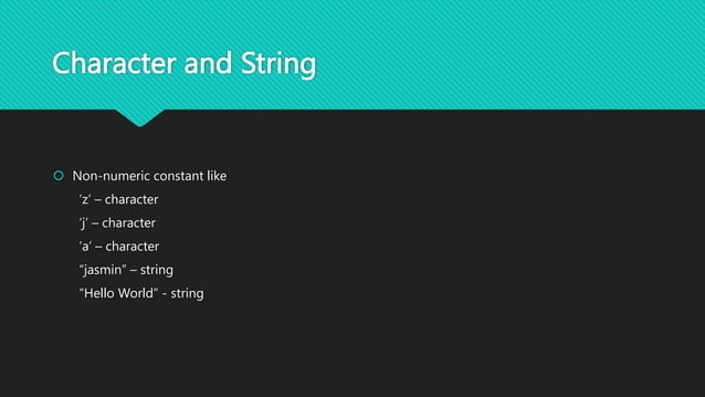 Lesson 4 Basic Programming Constructs.pptx