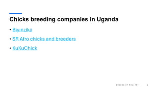 sdd lesson 4 - python | selection using if statements... Lesson+4+Breeds+of+Poultry+By Buwembo.pdf