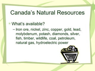 Canada’s Natural Resources What’s available? Iron ore, nickel, zinc, copper, gold, lead, molybdenum, potash, diamonds, silver, fish, timber, wildlife, coal, petroleum, natural gas, hydroelectric power 