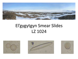 El’gygytgyn Smear Slides
LZ 1024
 