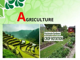 AGRICULTURE
 