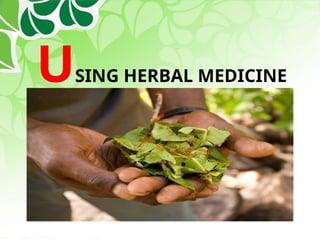 USING HERBAL MEDICINE
 