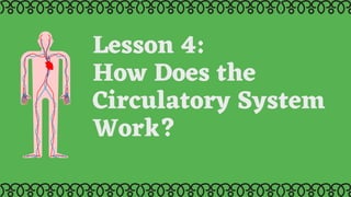 Lesson 4:
How Does the
Circulatory System
Work?
 