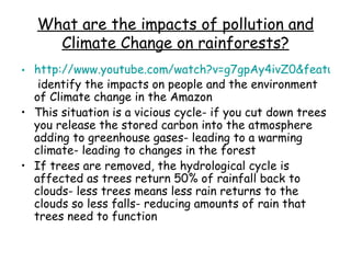 What are the impacts of pollution and Climate Change on rainforests? http://www.youtube.com/watch?v=g7gpAy4ivZ0&feature=related  identify the impacts on people and the environment of Climate change in the Amazon This situation is a vicious cycle- if you cut down trees you release the stored carbon into the atmosphere adding to greenhouse gases- leading to a warming climate- leading to changes in the forest If trees are removed, the hydrological cycle is affected as trees return 50% of rainfall back to clouds- less trees means less rain returns to the clouds so less falls- reducing amounts of rain that trees need to function 