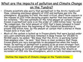 Climate scientists also worry that permafrost in the Arctic tundra will thaw, releasing enormous amounts of CO2 and methane gas into the atmosphere. According to Field, the most critical, short-term concern is the release of CO2 from decaying organic matter that has been frozen for millennia. "The new estimate of the total amount of carbon that's frozen in permafrost soils is on the order of 1,000 billion tons," he said. "By comparison, the total amount of CO2 that's been released in fossil fuel combustion since the beginning of the Industrial Revolution is around 350 billion tons. So the amount of carbon that's stored in these frozen soils is truly vast." Much of the carbon is locked up in frozen plants that were buried under very cold conditions and have remained in deep freeze for 25,000 to 50,000 years, he added. "We know that the Arctic is warming faster than anyplace else," he said. "And there is clear evidence that these frozen plants are very susceptible to decomposition when the tundra thaws. So melting of permafrost is poised to be an even stronger foot on the accelerator pedal of atmospheric CO2, with every increment of warming causing an increment of permafrost-melting that shoots an increment of CO2 into the atmosphere, which in turn increases warming. What are the impacts of pollution and Climate Change on the Tundra? Outline the impacts of Climate change on the Tundra biome 