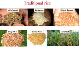 Kalu heenati kahawanu
Siyapath el Kurulu thuda
Traditional rice
Mada thawalu
Suwandal
 