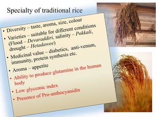 Specialty of traditional rice
 