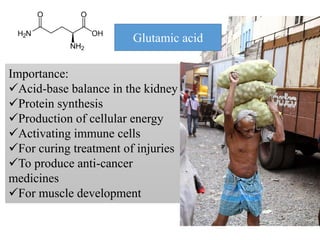 Importance:
Acid-base balance in the kidney
Protein synthesis
Production of cellular energy
Activating immune cells
For curing treatment of injuries
To produce anti-cancer
medicines
For muscle development
Glutamic acid
 