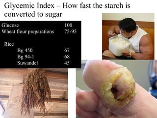 Glycemic Index – How fast the starch is
converted to sugar
Glucose 100
Wheat flour preparations 75-95
Rice
Bg 450 67
Bg 94-1 68
Suwandel 45
 