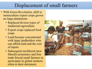 Displacement of small farmers
• With Green Revolution, shift to
monoculture export crops grown
on large plantations
• Replaced diverse types of
traditional agriculture
• Export crops replaced food
crops
• Land became concentrated
with large landholders who
can afford land and the cost
of inputs
• Subsequent neoliberal (new
liberal) economics and free
trade forced small farmers to
participate in global markets
often to their detriment.
 