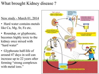 What brought Kidney disease ?
New study - March 01, 2014
• Hard water contains metals
like Ca, Mg, Sr, Fe etc.
• Roundup, or glyphosate,
becomes highly toxic to the
kidney once mixed with
“hard water”
• Glyphosate half-life of
around 47 days in soil can
increase up to 22 years after
forming “strong complexes
with metal ions.”
 