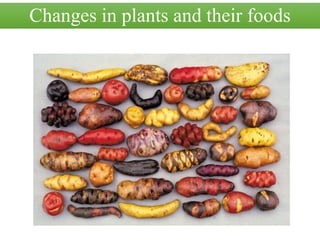Changes in plants and their foods
 