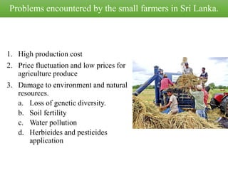 Problems encountered by the small farmers in Sri Lanka.
1. High production cost
2. Price fluctuation and low prices for
agriculture produce
3. Damage to environment and natural
resources.
a. Loss of genetic diversity.
b. Soil fertility
c. Water pollution
d. Herbicides and pesticides
application
 