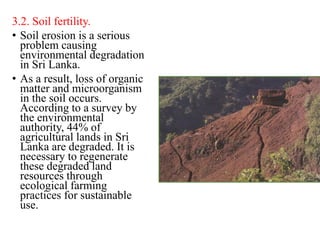 3.2. Soil fertility.
• Soil erosion is a serious
problem causing
environmental degradation
in Sri Lanka.
• As a result, loss of organic
matter and microorganism
in the soil occurs.
According to a survey by
the environmental
authority, 44% of
agricultural lands in Sri
Lanka are degraded. It is
necessary to regenerate
these degraded land
resources through
ecological farming
practices for sustainable
use.
 