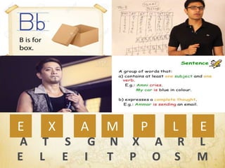 A T S G N X A R L
E L E I T P O S M
MAXE P L E
 