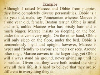 Example
Although I raised Marcee and Obbie from puppies,
they have completely diverse personalities. Obbie is a
six year old, male, toy Pomeranian whereas Marcee is
a one year old, female, Boston terrier. Obbie is small
and soft, unlike Marcee who has bristly hair and is
much bigger. Marcee insists on sleeping on the bed,
under the covers every night. On the other hand, Obbie
will only sleep on the floor, under the bed. Obbie is
tremendously loyal and uptight; however, Marcee is
hyper and friendly to anyone she meets or sees. Around
other dogs, Marcee cowers to the larger dog, yet Obbie
will always stand his ground, never giving up until he
is scolded. Given that they were both treated the same
way all their life, it is hard to believe that they are so
different in everything they do.
 