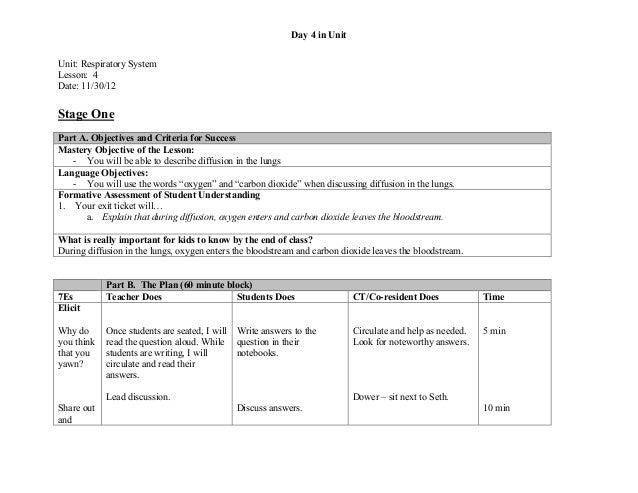Lesson 4 respiratory system