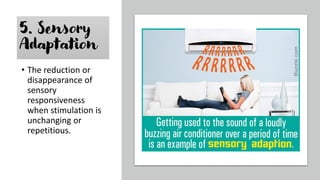 5. Sensory
Adaptation
• The reduction or
disappearance of
sensory
responsiveness
when stimulation is
unchanging or
repetitious.
 