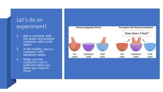 Let’s do an
experiment!
1. Get a container with
hot water and another
container with a cold
water.
2. In the middle, place a
container with
lukewarm water.
3. Make sure the
container’s size is
sufficient when you
place your hand in
there.
How does it feel?
 