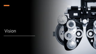 Vision
 