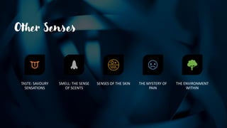 Other Senses
TASTE: SAVOURY
SENSATIONS
SMELL: THE SENSE
OF SCENTS
SENSES OF THE SKIN THE MYSTERY OF
PAIN
THE ENVIRONMENT
WITHIN
 