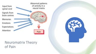 Neuromatrix Theory
of Pain
 
