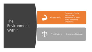 The
Environment
Within
Kinesthesic
The sense of body
position and
movement of body
parts; also called
kinesthesia.
Equilibrium The sense of balance.
 